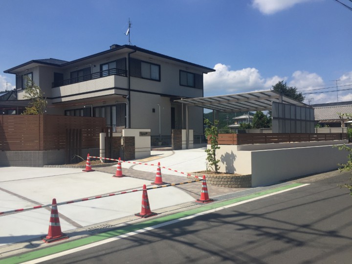 IMG_2850 (1024x768) (1024x768)