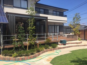 IMG_2859 (1024x768) (1024x768)