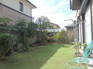 だんだん暑くなってきました…