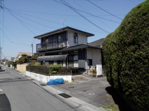 秋になって庭を見てみると・・・