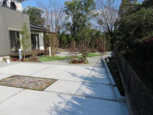 宮崎の青い空の下、自然と触れ合う毎日を・・・・・