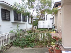 東開店　完成現場のご紹介