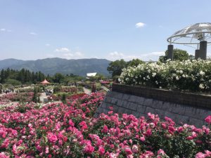 一の宮店　リガーデン工事ご紹介