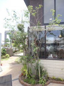 東開店　完成現場のご紹介