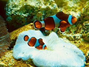 完成報告☆新築外構