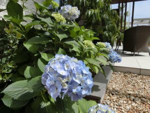 東開店からのご案内です