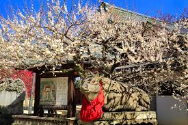 念願のリフォーム☆