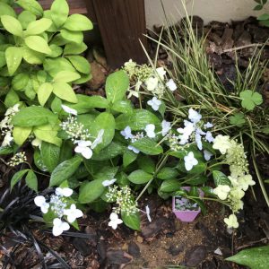 宮崎支店　勉強会