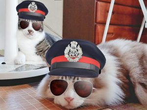 お盆休みとプチリフォーム