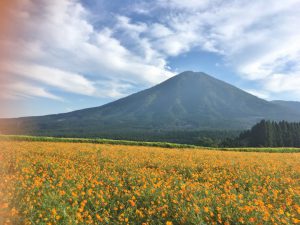 乱形石で変わる印象