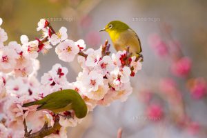 「知っているor知らなかった」その外構はfinal answer？？