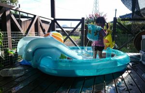 お庭時間で気付くこと