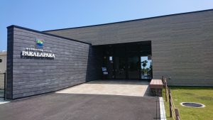 秋駒ちゃん、誕生