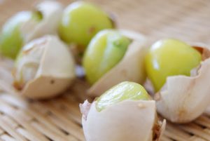 お部屋ガーデン計画　～その２～　と今日のお庭♪