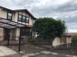 庭木の整理と雑草対策