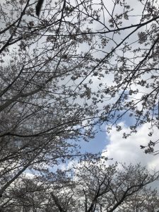生活スタイルに合わせて