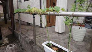 誰が為に。。。