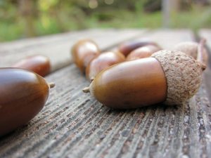 外！！おひさま！！ケ・セラ・セラ♬