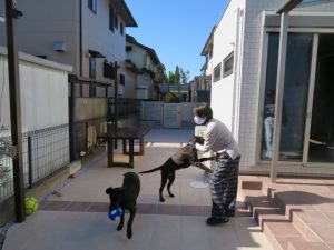 元気な家族が仲間入り！愛犬と遊ぶお庭を作りました！