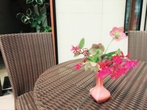 いろどり豊か♪春まであと1歩！