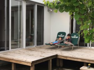 新緑の季節です。