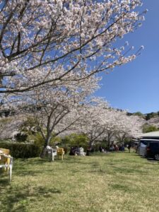 カーポート　ビームス
