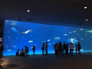 古くなったブロック塀を・・・