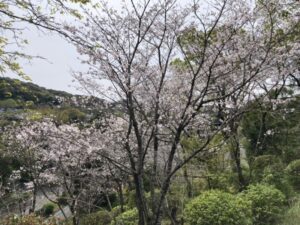 お庭をすっきりリガーデン