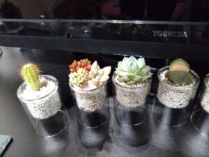 春　～spring～　もう少しだけ