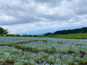 暮らしに潤いを