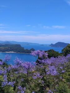 実は近場で見れる、貴重な植物