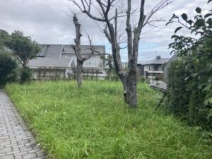 鬼は外、福は内